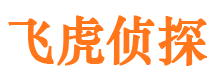 封丘市调查公司